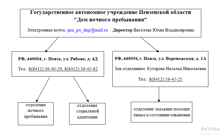 Структура организации